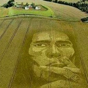 Meet your Posher, Reginald